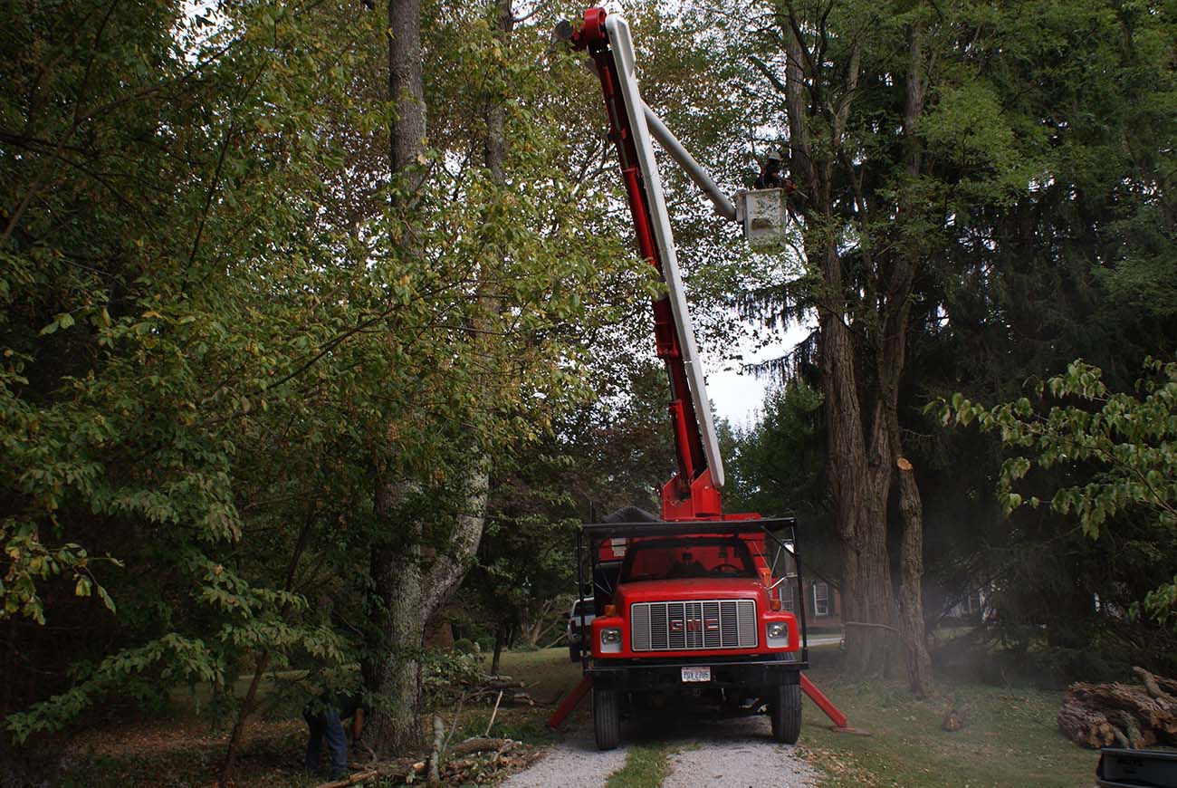 Mid Ohio Tree Service bucket truck at work on a tree